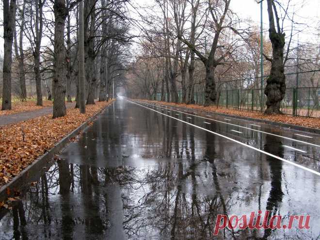 olga-markovich — «6-ой Лучевой просек.» на Яндекс.Фотках