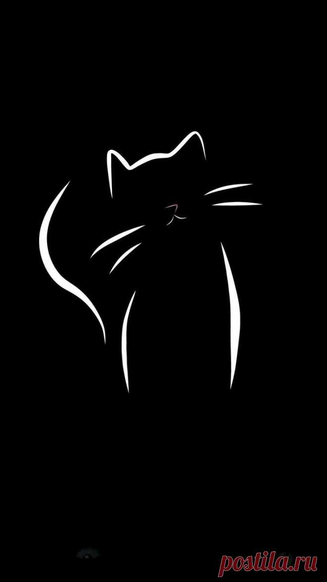 This contains an image of: Outstanding cat line art and coloring book page.