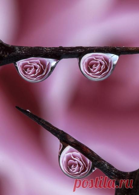 Увидеть большое, в малом.