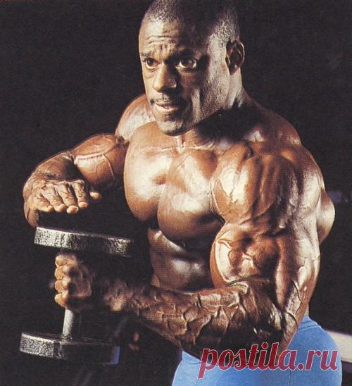 Как накачать бицепс. Советы Винса Тейлора