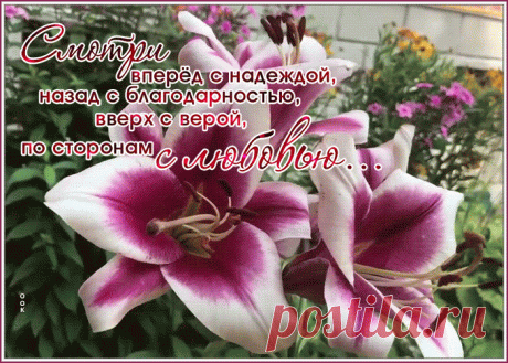 Оригинальная открытка с пожеланиями