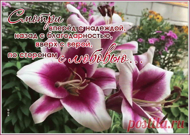 Оригинальная открытка с пожеланиями