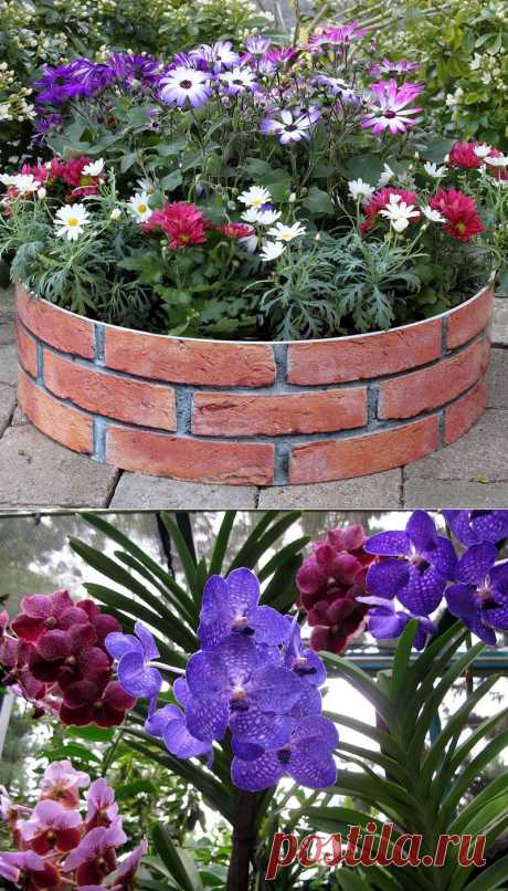 DECO идеи. | Записи в рубрике DECO идеи. | ДЕЛА НАШИ САДОВЫЕ