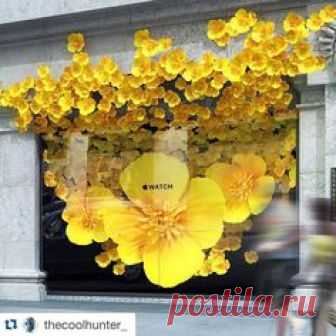 SELFRIDGES,London,UK, 