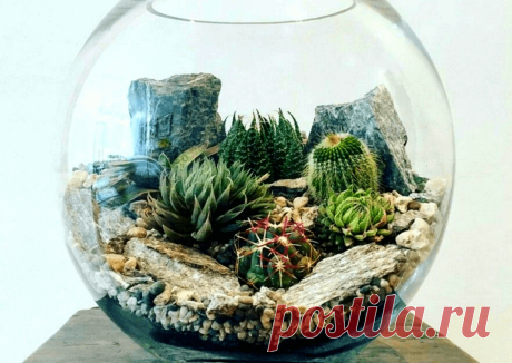 Флорариумы: виды, описание, идеи оформления ~ Planetalsad