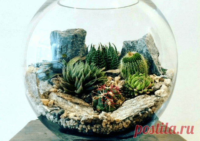 Флорариумы: виды, описание, идеи оформления ~ Planetalsad