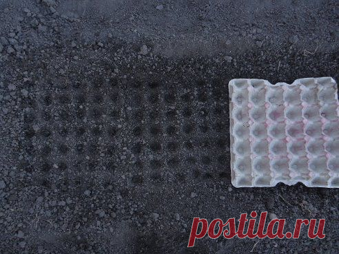 (99) Одноклассники