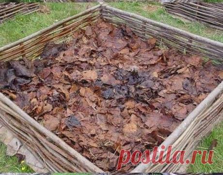 Делаем поднятую грядку