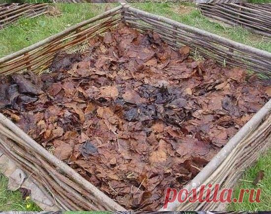 Делаем поднятую грядку