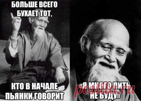 Фотоприколы с подписями (14 шт)