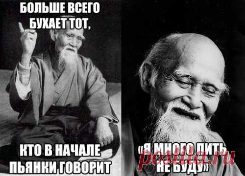 Фотоприколы с подписями (14 шт)
