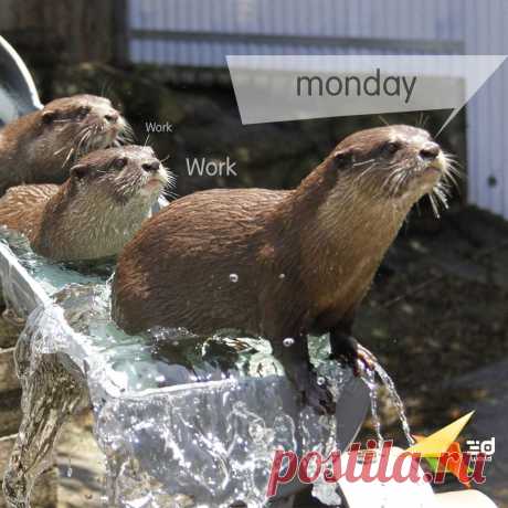 Great day for all

@3dworld (Студия веб дизайна 3d World) #3dworld #nicemood #monday #work