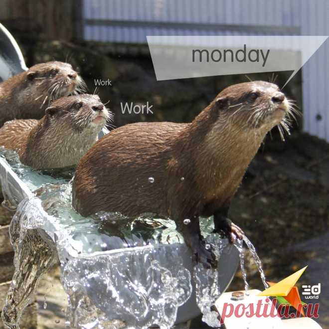 Great day for all

@3dworld (Студия веб дизайна 3d World) #3dworld #nicemood #monday #work