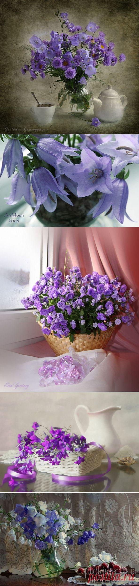 Натюрморты с колокольчиками | Удивительное и смешное в картинках