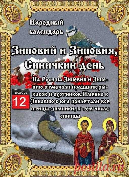Если сегодня насыпать в кормушку зёрен, синица принесёт в дом благополучие. Пусть ваш день будет таким же ярким и звонким, как птичье утро!
Открытки на Синичкин день