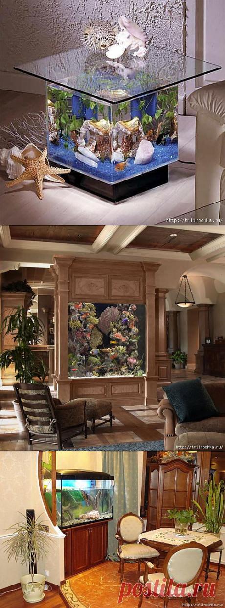 В помощь начинающим аквариумистам!.