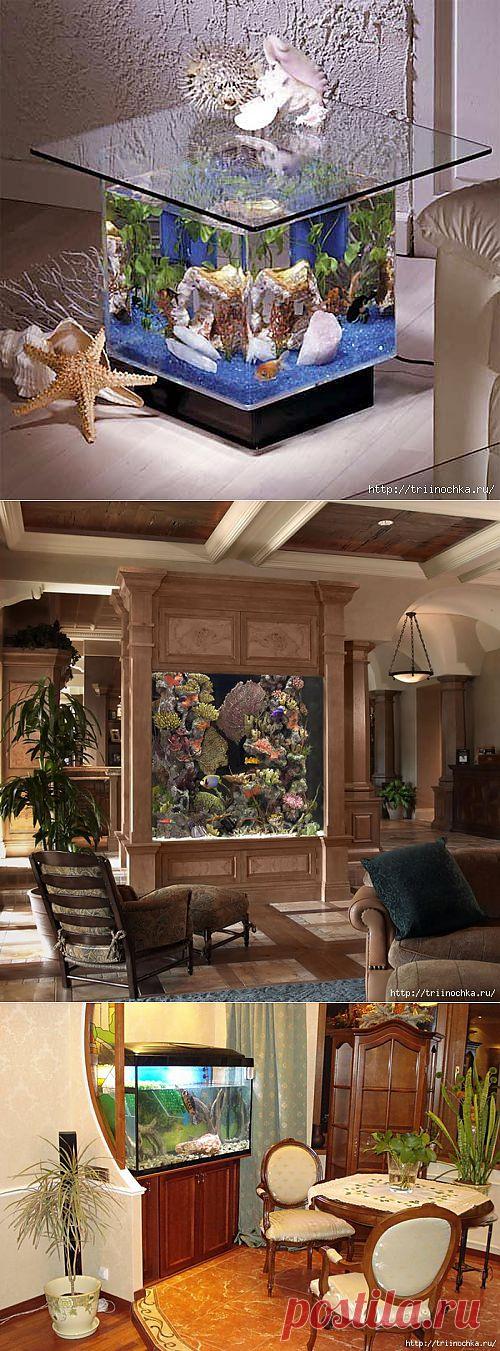 В помощь начинающим аквариумистам!.
