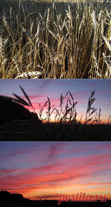 Предосенний закат