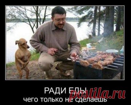 Моя прелесть...)))