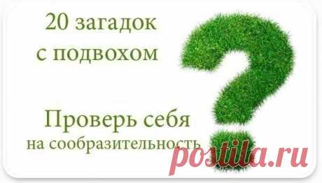 20 загадок с подвохом 



источник Обо всём на свете
 
 






20 загадок с подвохом 1) Мужчина вёл большой грузовик. Огни на машине не были зажжены. Луны тоже не было. Женщина стала переходить дорогу перед машиной. Как уд…
