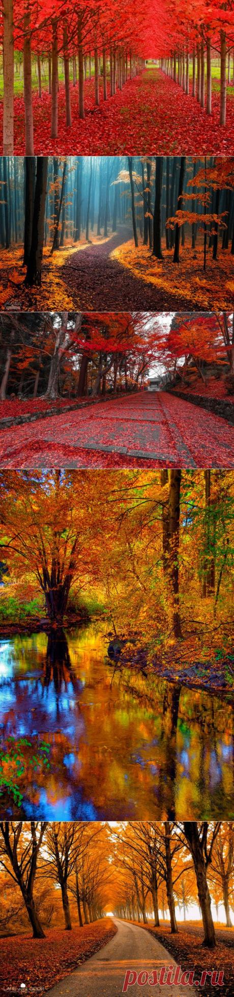 Осенний шарм