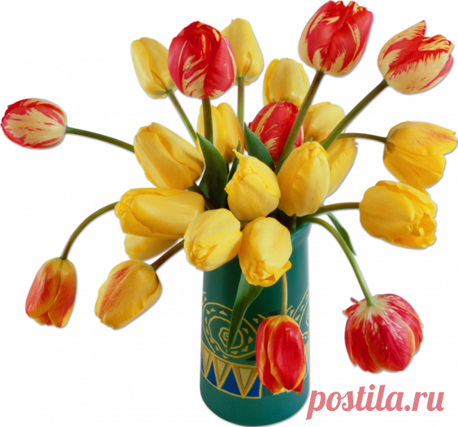 Рецепт очень быстрых малосольных огурцов.