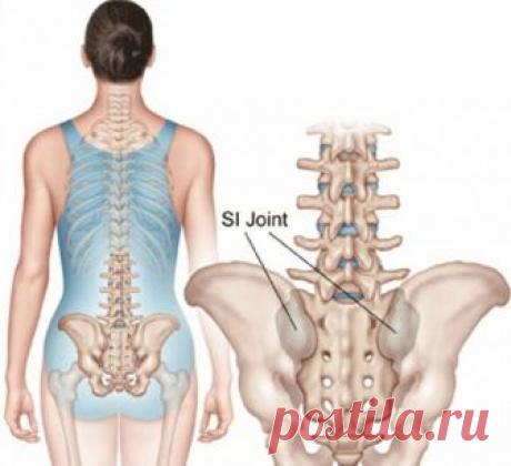 Гимнастика для позвоночника Мирзакарима Норбекова.
Гимнастика для позвоночника Мирзакарима Норбекова
Хрящи обладают изумительной способностью к восстановлению. Вы можете «вырастить» себе молодой позвоночник независимо от того, сколько вам с…