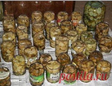 (49) Одноклассники