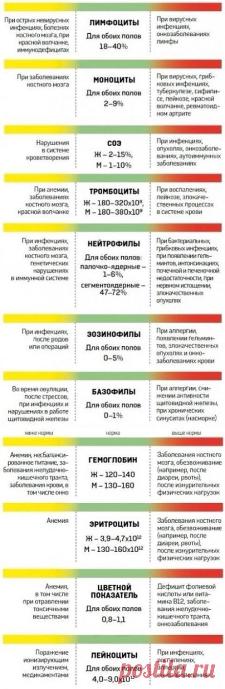 ВАШ АНАЛИЗ КРОВИ !!!