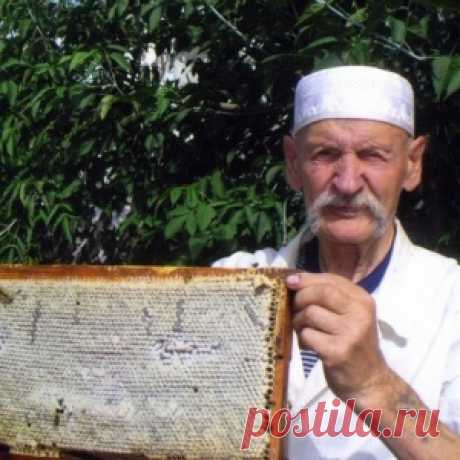 Пчелиные хитрости. Как выбрать правильный мёд - советы эксперта