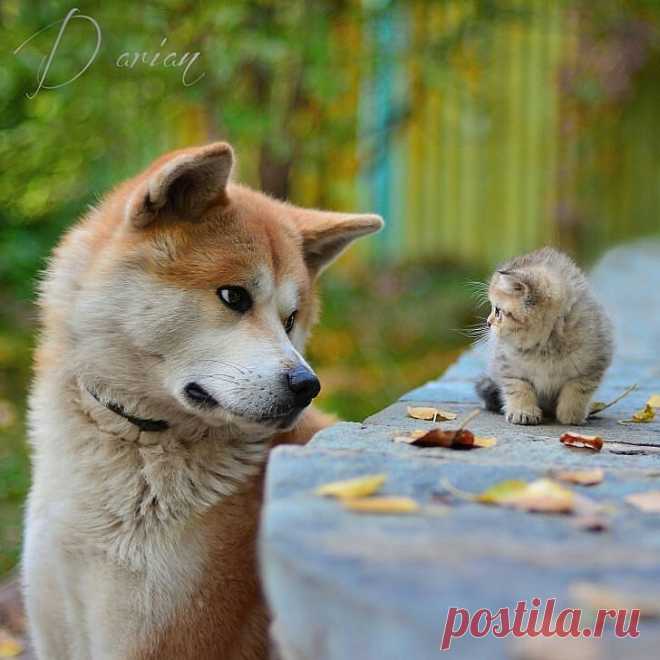 Мой Мир@Mail.Ru