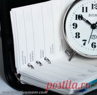 «Совы» и «жаворонки» на работе: есть ли разница?