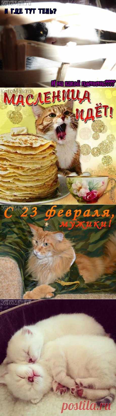 Курица в рукаве. и другие материалы. Новое в Вашей подборке на Постила.ru - klievtsova@inbox.ru - Почта Mail.Ru