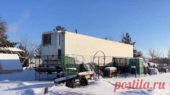"Кричат от холода": цирковые львы замерзают в 30-градусный мороз в передвижных вольерах. Жители Копейска обеспокоены судьбой львов из передвижного цирка, которых содержат в передвижных вольерах в сильные морозы. Об этом сообщает информационное агентство "Первое областное". По данным СМИ, местные жители обратили ...