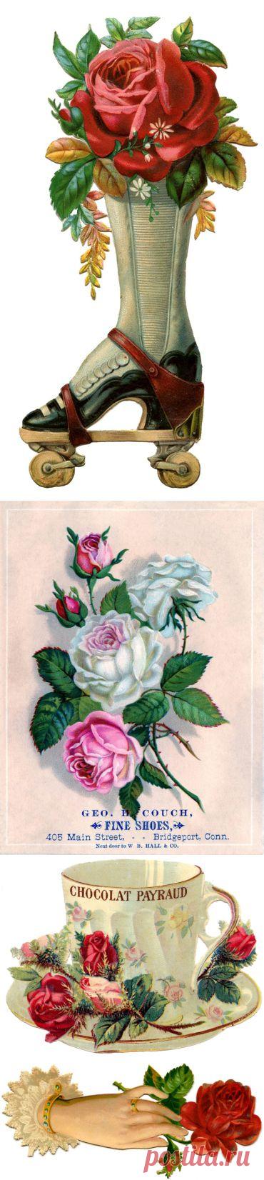 РОЗЫ. Винтажные картинки для декупажа.