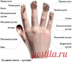 15 цветочных спецэффектов для украшения сада