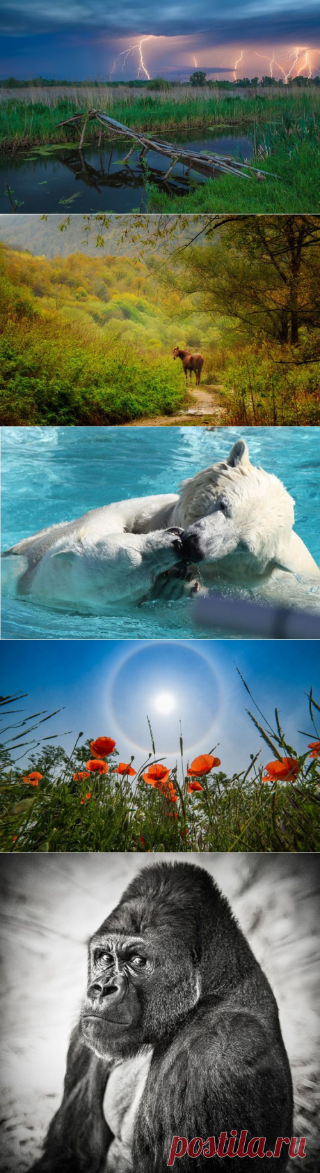 Лучшее с АdMe Photo Awards 2014 за неделю