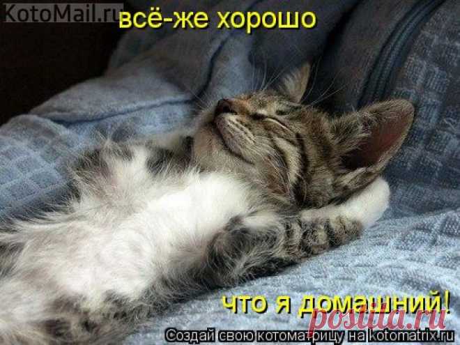 Хорошо!