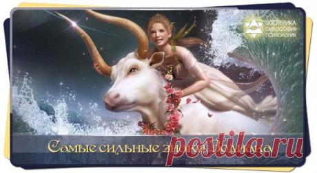 Живем играючи