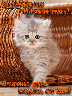 зверье мое