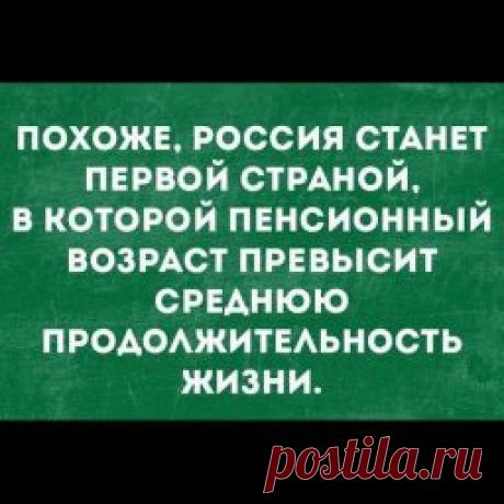 Писец - приколы интернета