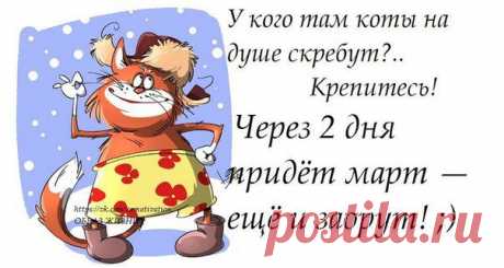 Новости