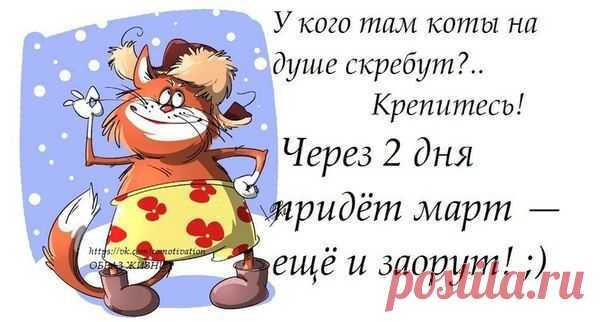 Новости