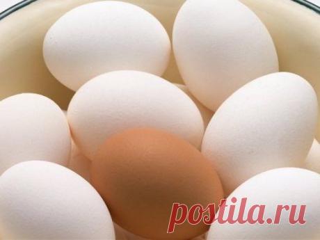 *Как варить яйца, чтобы не трескались.* Куда вроде проще, а прочитать стоит.