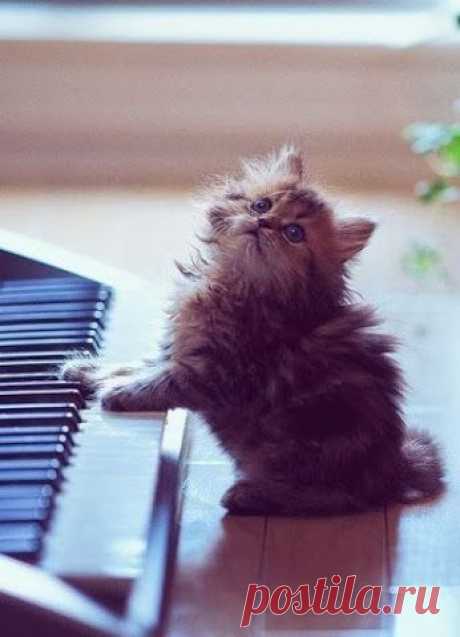 nadya derevesnikova – Google+