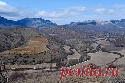 Пенсионеры-скалолазы покорили гору в Крыму. В Крыму прошел 14-й Чемпионат ветеранов альпинизма и скалолазания. Участники соревнований из девяти стран собрались у подножия горы Крестовой. Спортсмены представляли Россию, Германию, Польшу, Израиль, Украину, Казахстан, Узбекистан, США и Австралию. Самой взрослой участнице исполнилось 82 года.
