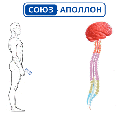 «Союз-Аполлон» | Официальный сайт