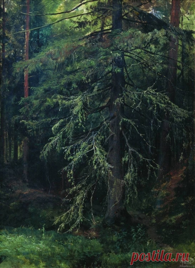 Художник Иван Иванович Шишкин (1832-1898).
