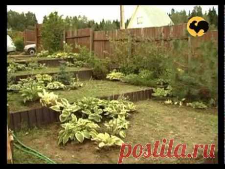 Сад на склоне. Ландшафтные хитрости 16 - YouTube