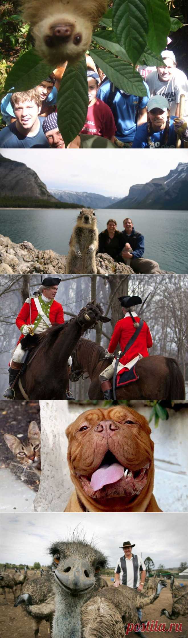 Фотогеничность 80-го уровня